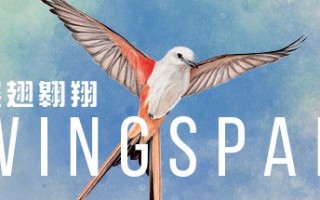 展翅翱翔/WINGSPAN（更新大洋洲篇DLC v12.12.2023）