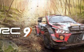 世界汽车拉力锦标赛9/WRC 9 FIA World Rally Championship