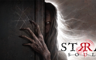 流浪的灵魂 STRAY SOULS