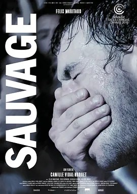 电影《野性 Sauvage (2018)丨7.0分》全集免费在线观看